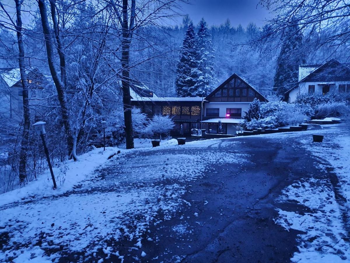 Siegerland-Hotel Фройденберг Екстериор снимка