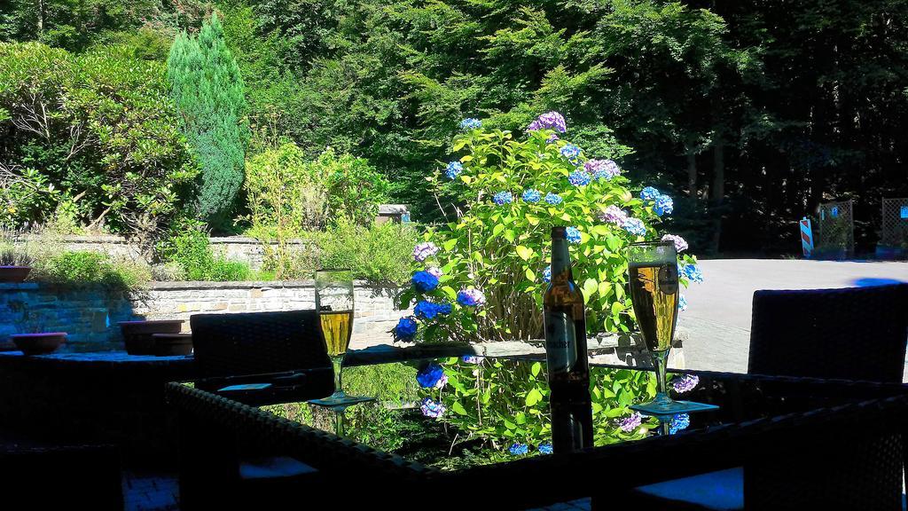 Siegerland-Hotel Фройденберг Екстериор снимка